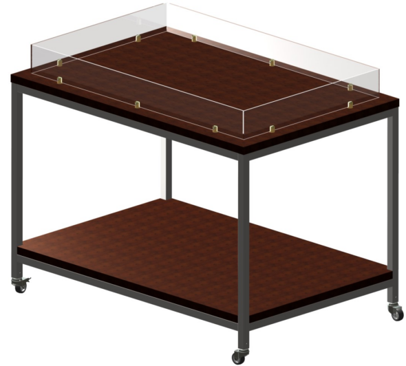 MESA EXPOSITORA CENTRAL